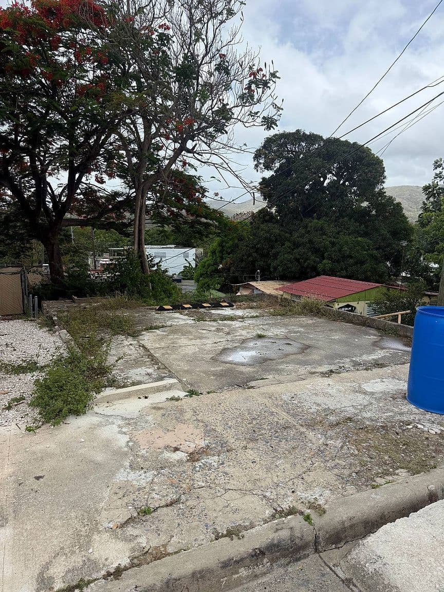 45 Calle Bureo, Palmas, Guayama, 00784