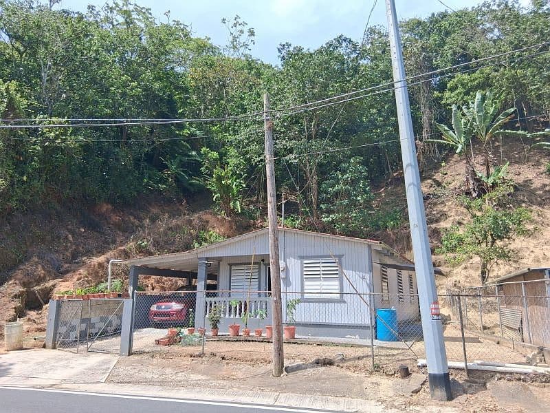 Bo. Juan Gonzalez, Farm in Adjuntas