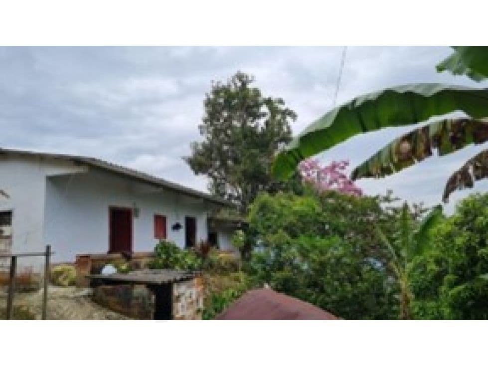 Vereda la Loma