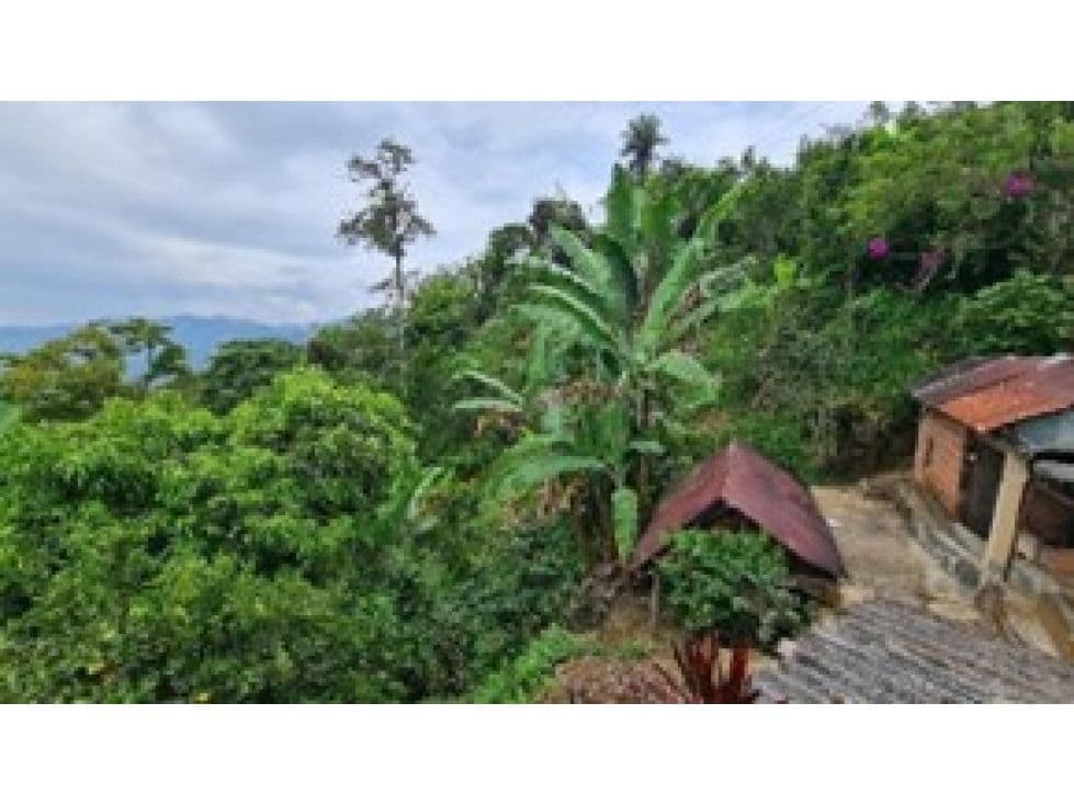 Vereda la Loma