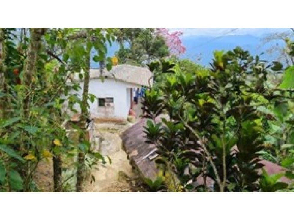 Vereda la Loma