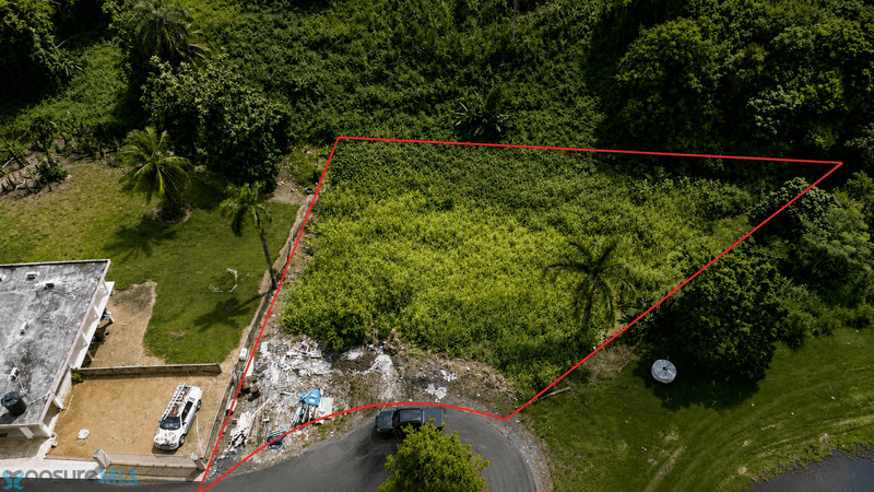 1 CALLE 2, El Verde (Barrio), Rio Grande, Puerto Rico 00745